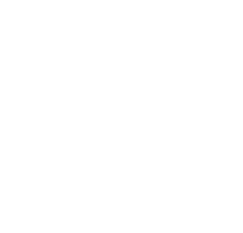 Leverage BJJ logo